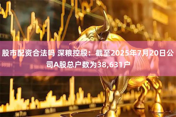 股市配资合法吗 深粮控股：截至2025年7月20日公司A股总户数为38,631户
